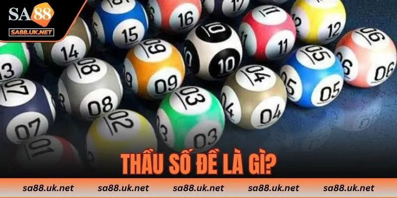 Thầu số đề là gì